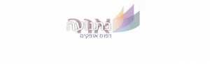 דפוס אופקים - אור בתנועה