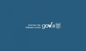 מדריך להשתתפות במכרז מקרקעין מקוון - מגרש בלתי מסוים